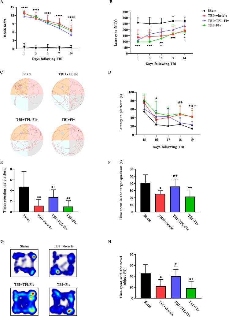 https://cdn.ncbi.nlm.nih.gov/pmc/blobs/8532/12001850/de34cdd90659/IDRD_A_2486840_F0008_C.jpg