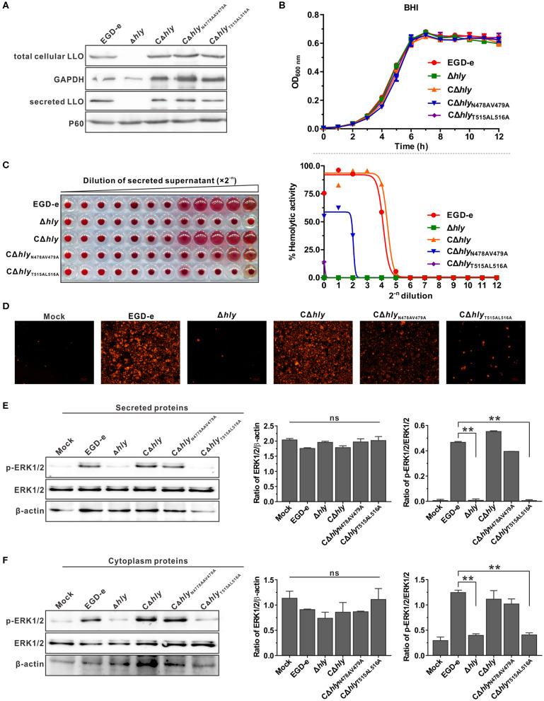 https://cdn.ncbi.nlm.nih.gov/pmc/blobs/8534/7283531/845861d97e37/fimmu-11-01146-g0003.jpg