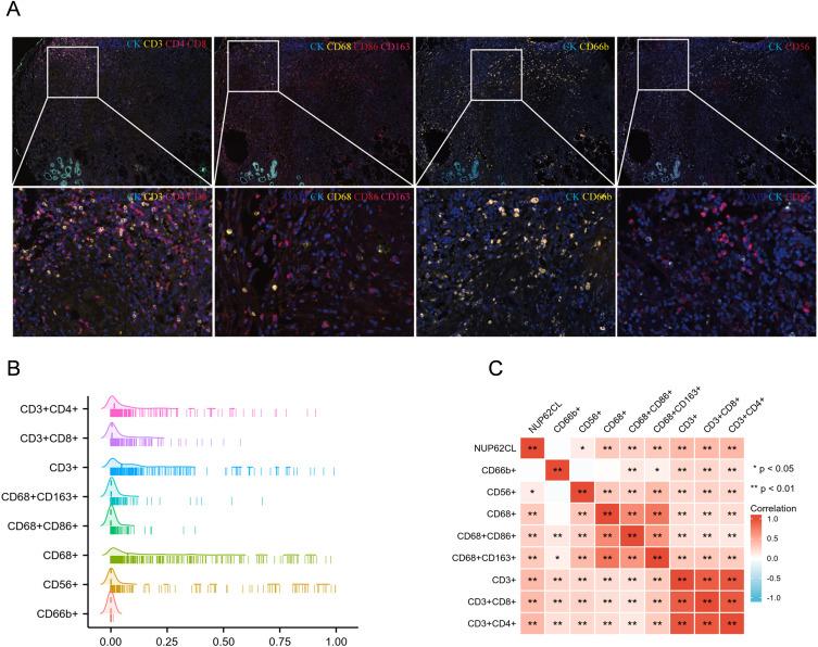 https://cdn.ncbi.nlm.nih.gov/pmc/blobs/8535/10474866/f6e8910887d6/JIR-16-3799-g0006.jpg