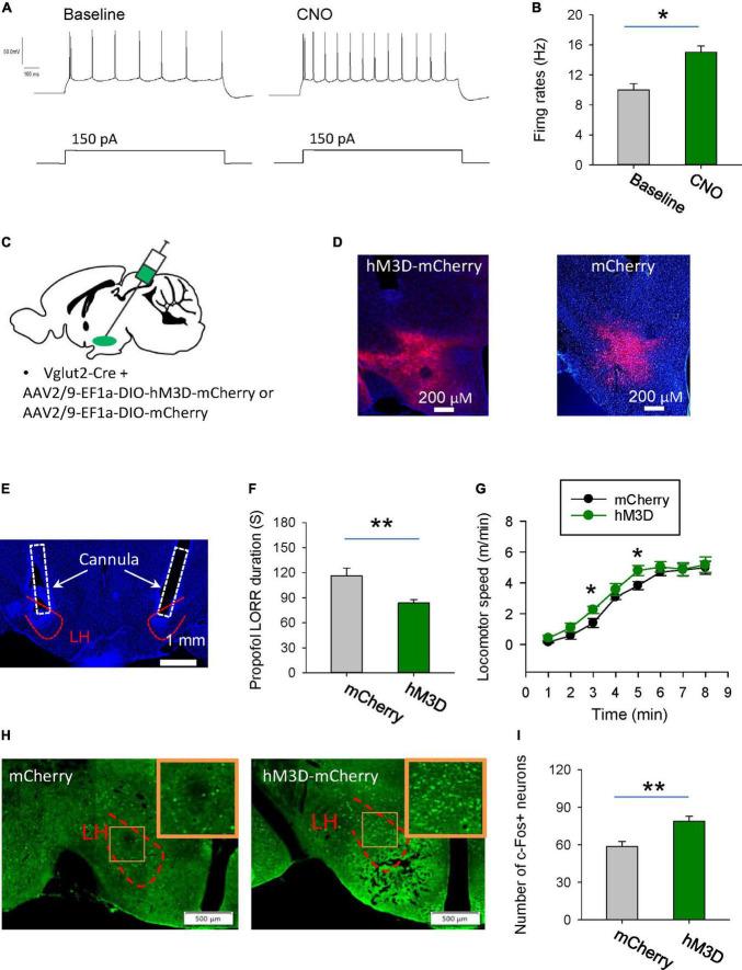 https://cdn.ncbi.nlm.nih.gov/pmc/blobs/8536/10811086/9fe957965c94/fnins-18-1327293-g004.jpg