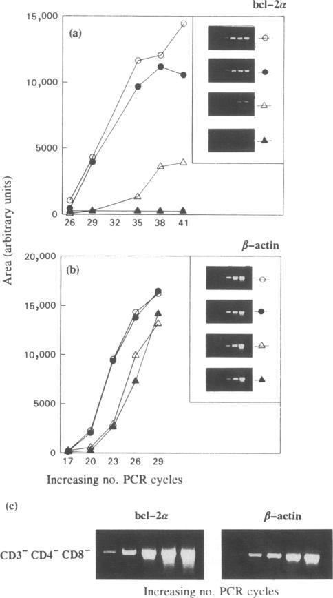 https://cdn.ncbi.nlm.nih.gov/pmc/blobs/8536/1422275/07195ad9a755/immunology00084-0124-a.jpg