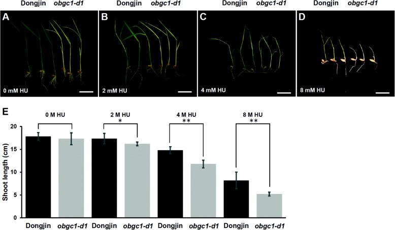 https://cdn.ncbi.nlm.nih.gov/pmc/blobs/8538/8275814/97e844200bdf/12284_2021_498_Fig3_HTML.jpg