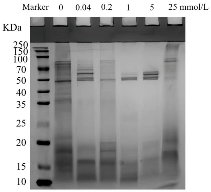 https://cdn.ncbi.nlm.nih.gov/pmc/blobs/8539/11120051/504c6db10761/foods-13-01513-g012.jpg