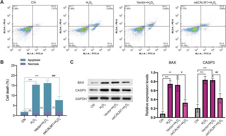 https://cdn.ncbi.nlm.nih.gov/pmc/blobs/853a/12353749/2c90367b98b3/fonc-15-1618601-g009.jpg