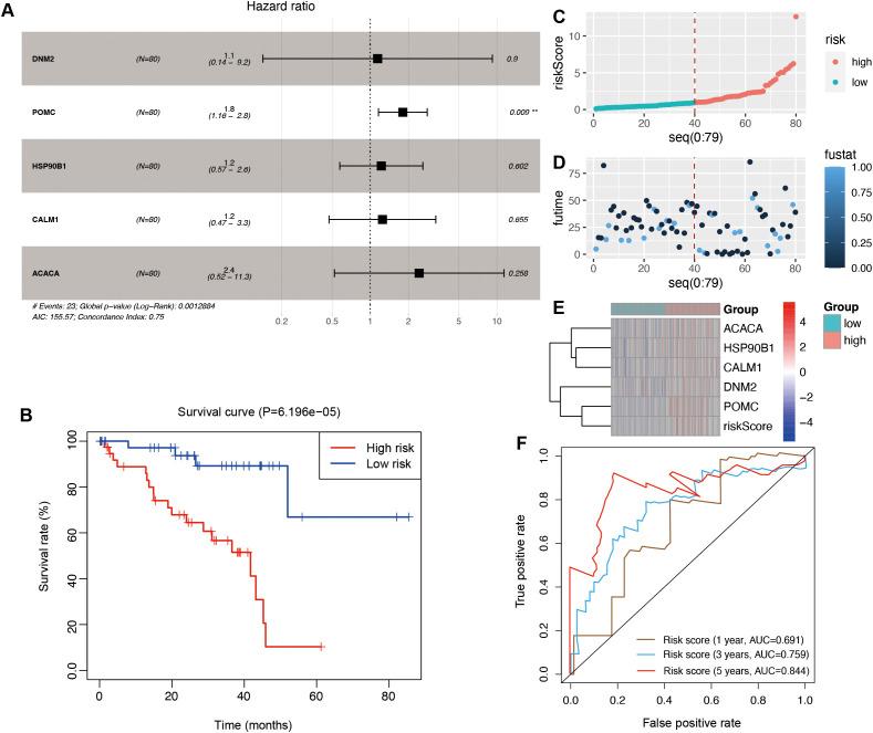 https://cdn.ncbi.nlm.nih.gov/pmc/blobs/853a/12353749/648afeb67260/fonc-15-1618601-g005.jpg
