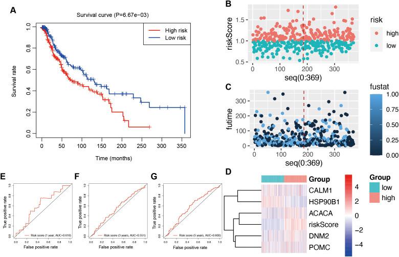 https://cdn.ncbi.nlm.nih.gov/pmc/blobs/853a/12353749/9e1240dd9853/fonc-15-1618601-g006.jpg