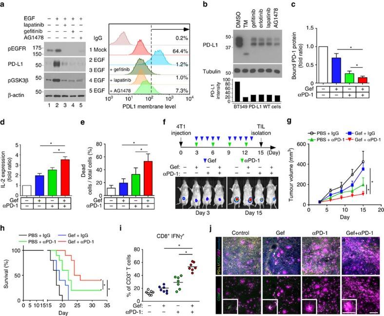 https://cdn.ncbi.nlm.nih.gov/pmc/blobs/853a/5013604/fd79248fcd19/ncomms12632-f5.jpg