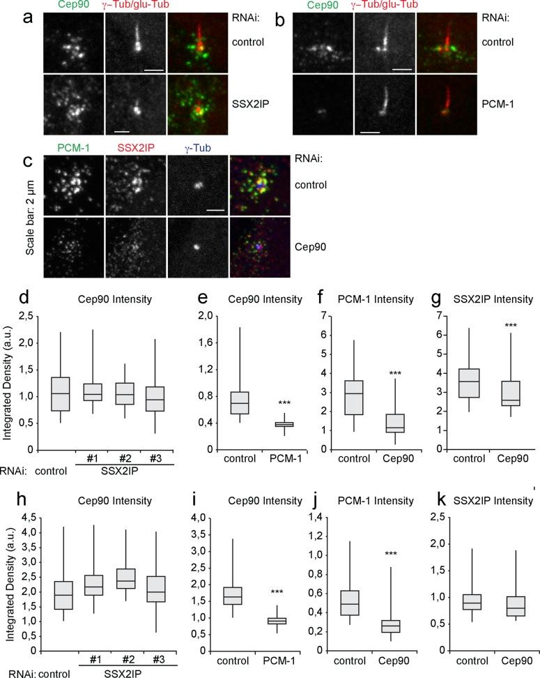 https://cdn.ncbi.nlm.nih.gov/pmc/blobs/853d/3923641/ef4fbe8b9a57/495fig3.jpg