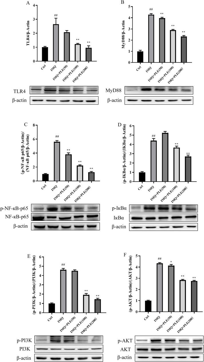 https://cdn.ncbi.nlm.nih.gov/pmc/blobs/853e/12057870/59619a7c372e/pone.0322710.g006.jpg