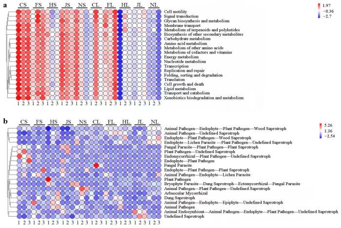 https://cdn.ncbi.nlm.nih.gov/pmc/blobs/853f/10376344/97950cdb912d/biology-12-00986-g004.jpg