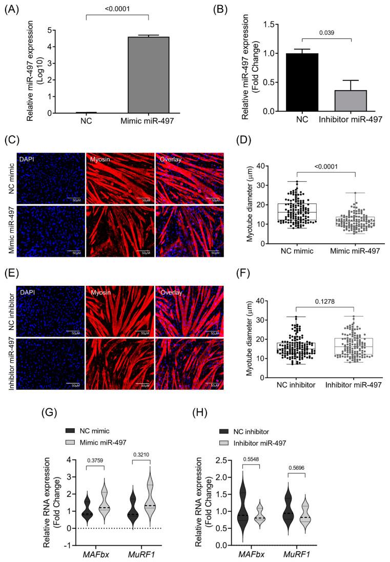https://cdn.ncbi.nlm.nih.gov/pmc/blobs/8541/8700610/0d7d747e1099/cells-10-03527-g004.jpg