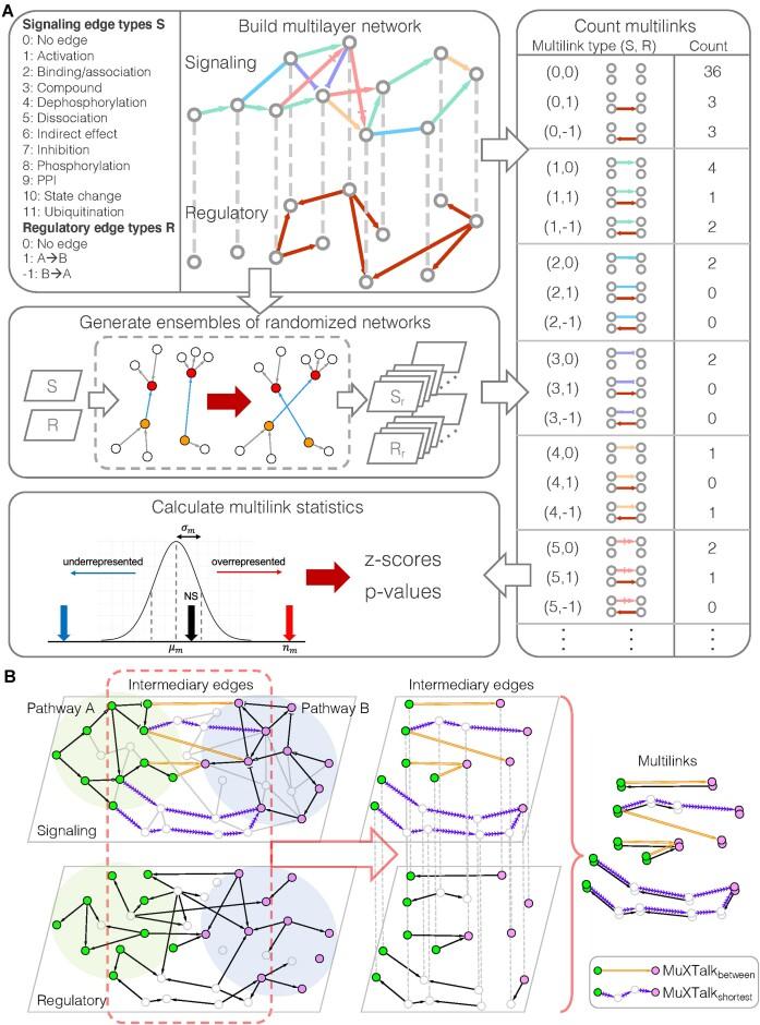https://cdn.ncbi.nlm.nih.gov/pmc/blobs/8542/10783515/35d0e3cd1435/gkad1035fig3.jpg