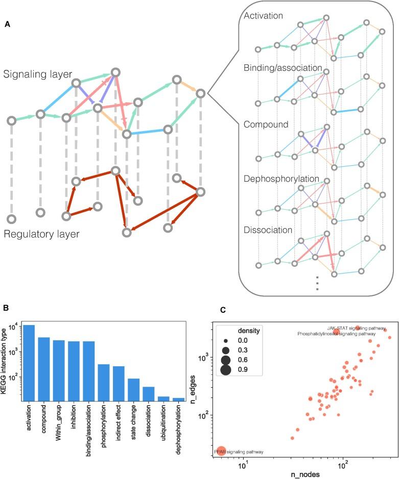 https://cdn.ncbi.nlm.nih.gov/pmc/blobs/8542/10783515/ef7e40264eeb/gkad1035fig1.jpg