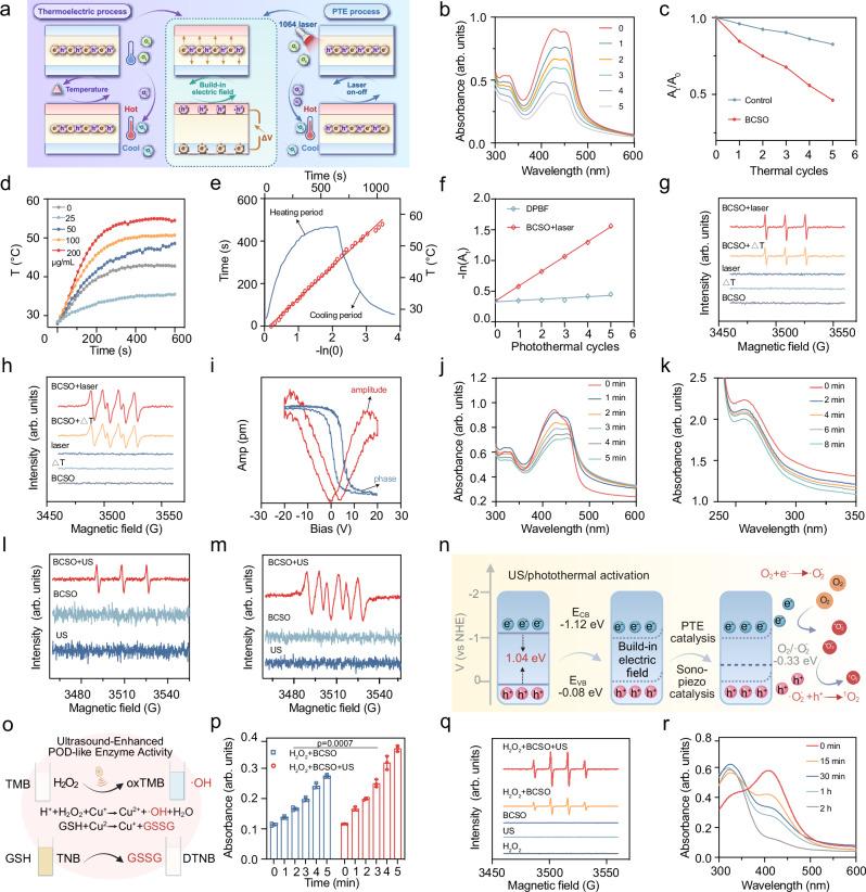 https://cdn.ncbi.nlm.nih.gov/pmc/blobs/8542/12217262/429b2f428a94/41467_2025_61041_Fig3_HTML.jpg