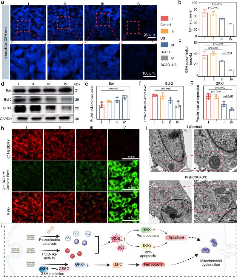 https://cdn.ncbi.nlm.nih.gov/pmc/blobs/8542/12217262/7e70908d1794/41467_2025_61041_Fig8_HTML.jpg