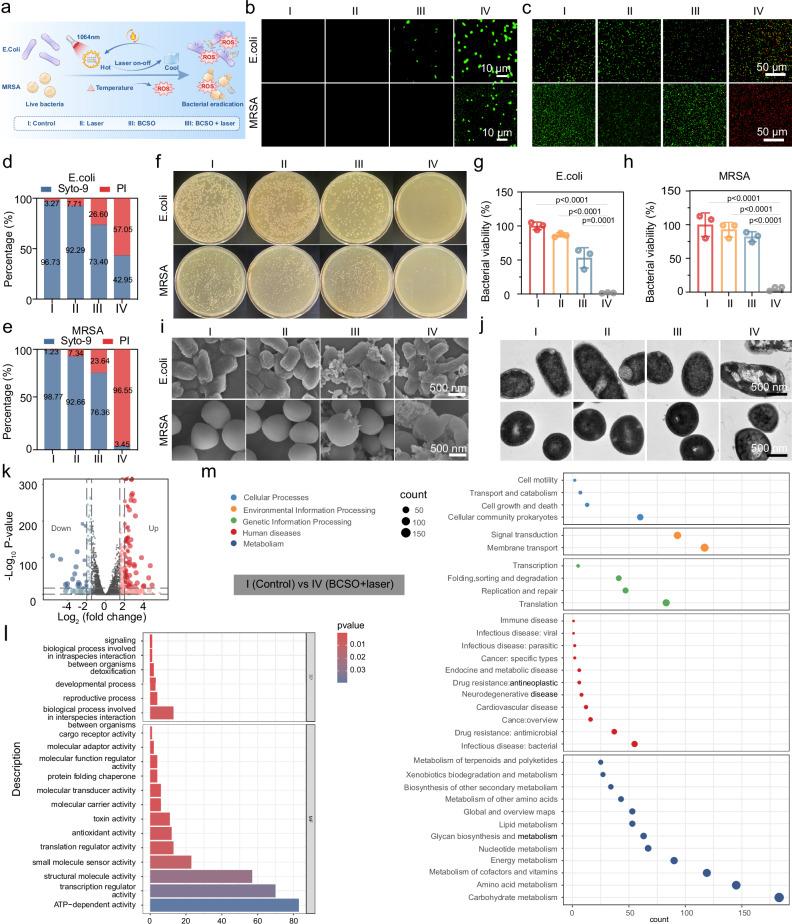 https://cdn.ncbi.nlm.nih.gov/pmc/blobs/8542/12217262/a45e6d4e4863/41467_2025_61041_Fig5_HTML.jpg