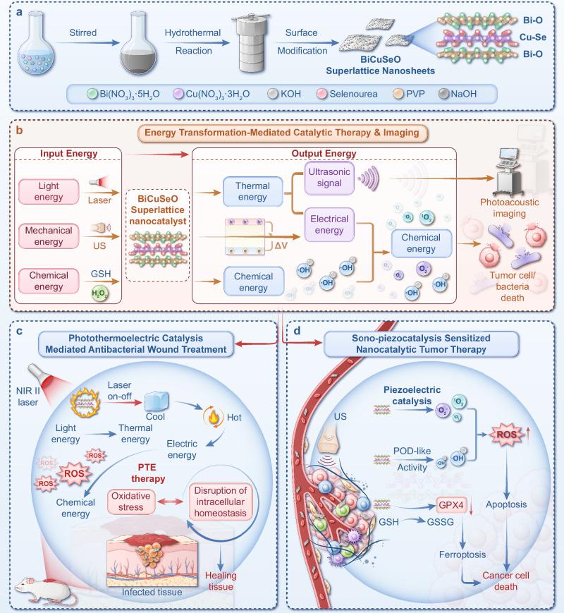 https://cdn.ncbi.nlm.nih.gov/pmc/blobs/8542/12217262/b90183df20c3/41467_2025_61041_Fig1_HTML.jpg