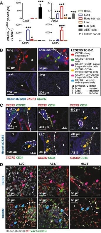 https://cdn.ncbi.nlm.nih.gov/pmc/blobs/8542/5697015/13fd439fff3a/EMMM-9-672-g011.jpg