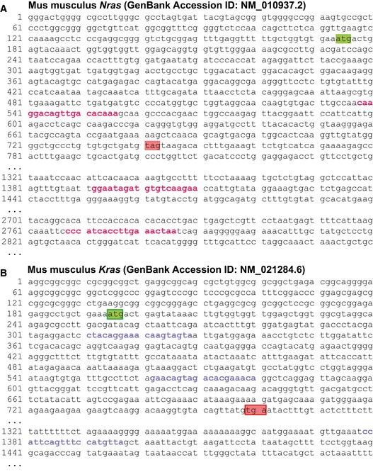 https://cdn.ncbi.nlm.nih.gov/pmc/blobs/8542/5697015/56d29e914cdd/EMMM-9-672-g007.jpg