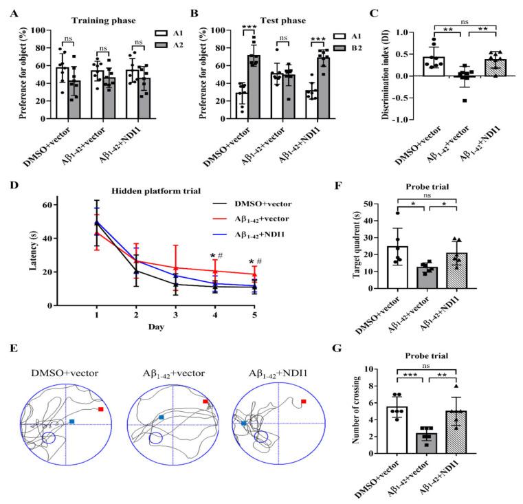 https://cdn.ncbi.nlm.nih.gov/pmc/blobs/8545/11323700/2017877da77b/12967_2024_5571_Fig5_HTML.jpg