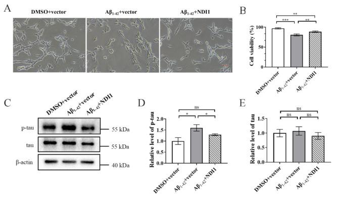 https://cdn.ncbi.nlm.nih.gov/pmc/blobs/8545/11323700/4ae3d33102e8/12967_2024_5571_Fig1_HTML.jpg