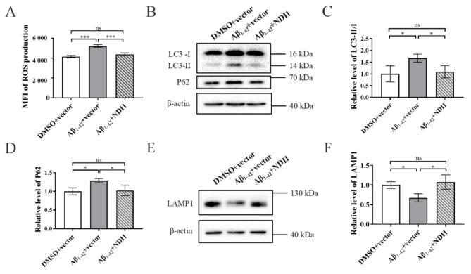 https://cdn.ncbi.nlm.nih.gov/pmc/blobs/8545/11323700/6b8440b24128/12967_2024_5571_Fig3_HTML.jpg