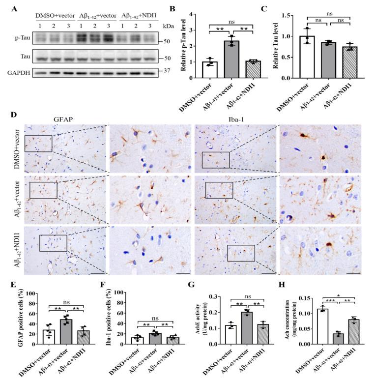 https://cdn.ncbi.nlm.nih.gov/pmc/blobs/8545/11323700/b1937379bbc0/12967_2024_5571_Fig6_HTML.jpg