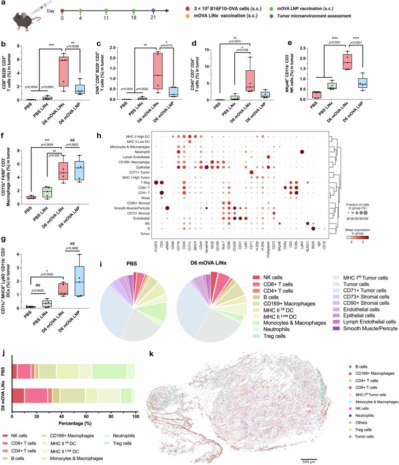 https://cdn.ncbi.nlm.nih.gov/pmc/blobs/8546/12217393/6f119a6987ef/41467_2025_61299_Fig5_HTML.jpg
