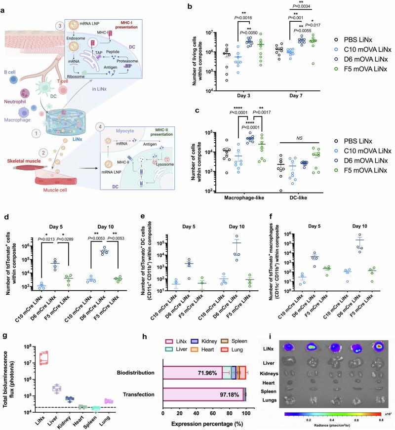 https://cdn.ncbi.nlm.nih.gov/pmc/blobs/8546/12217393/e45675e22b81/41467_2025_61299_Fig1_HTML.jpg