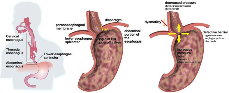 https://cdn.ncbi.nlm.nih.gov/pmc/blobs/8547/8579455/6514975025c0/ijbsv17p4154g003.jpg
