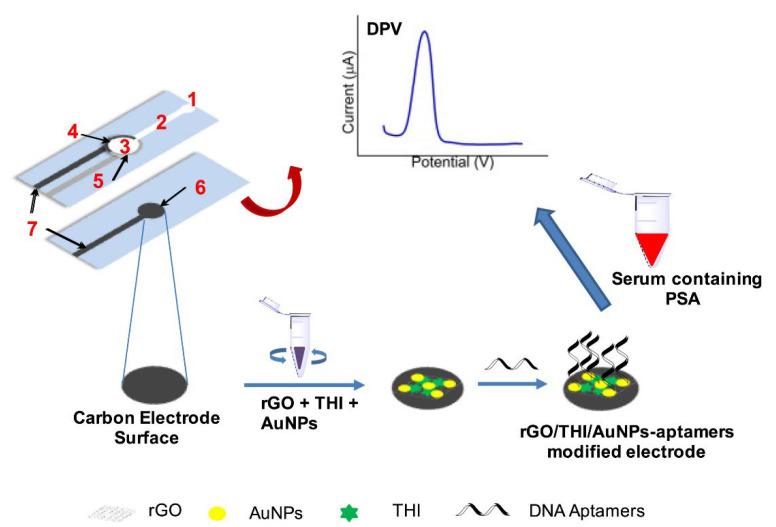 https://cdn.ncbi.nlm.nih.gov/pmc/blobs/8547/9405788/262e7bd63e88/biosensors-12-00607-g008.jpg