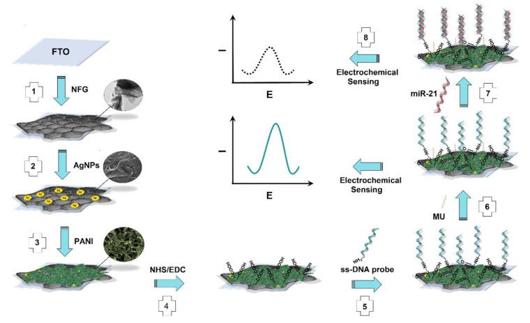 https://cdn.ncbi.nlm.nih.gov/pmc/blobs/8547/9405788/a47efc568e9d/biosensors-12-00607-g017.jpg