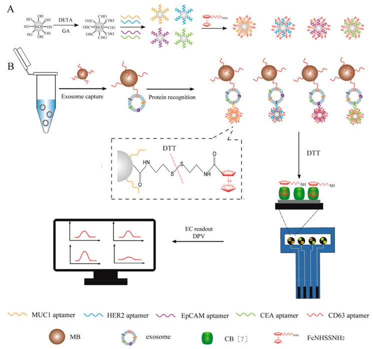 https://cdn.ncbi.nlm.nih.gov/pmc/blobs/8547/9405788/c3a71b6b77fe/biosensors-12-00607-g013.jpg