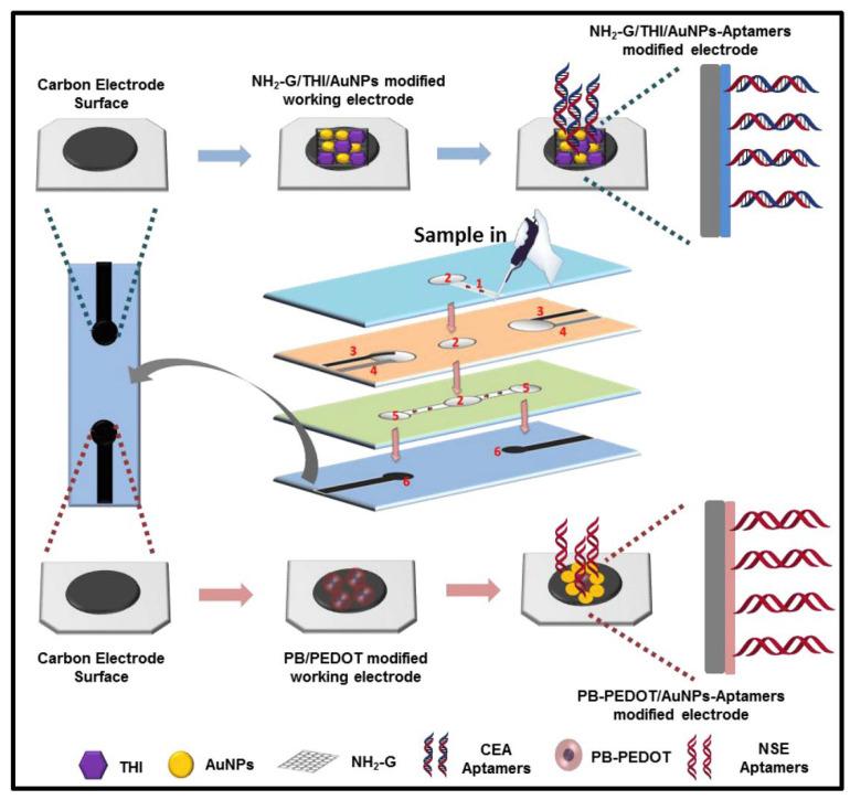 https://cdn.ncbi.nlm.nih.gov/pmc/blobs/8547/9405788/d79b7c88972a/biosensors-12-00607-g009.jpg