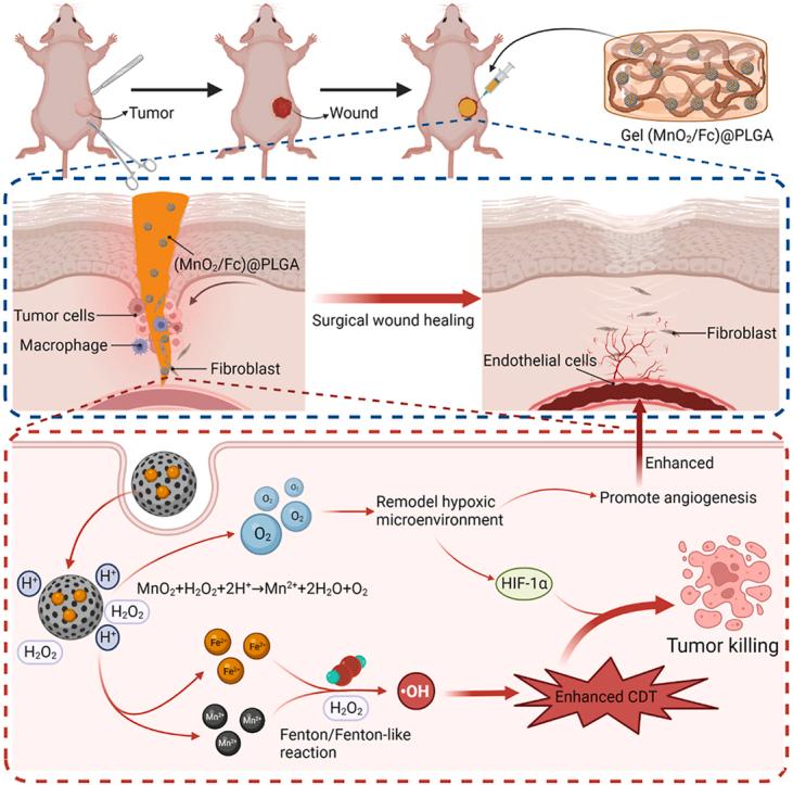 https://cdn.ncbi.nlm.nih.gov/pmc/blobs/854a/11530760/2337708cf616/ga1.jpg