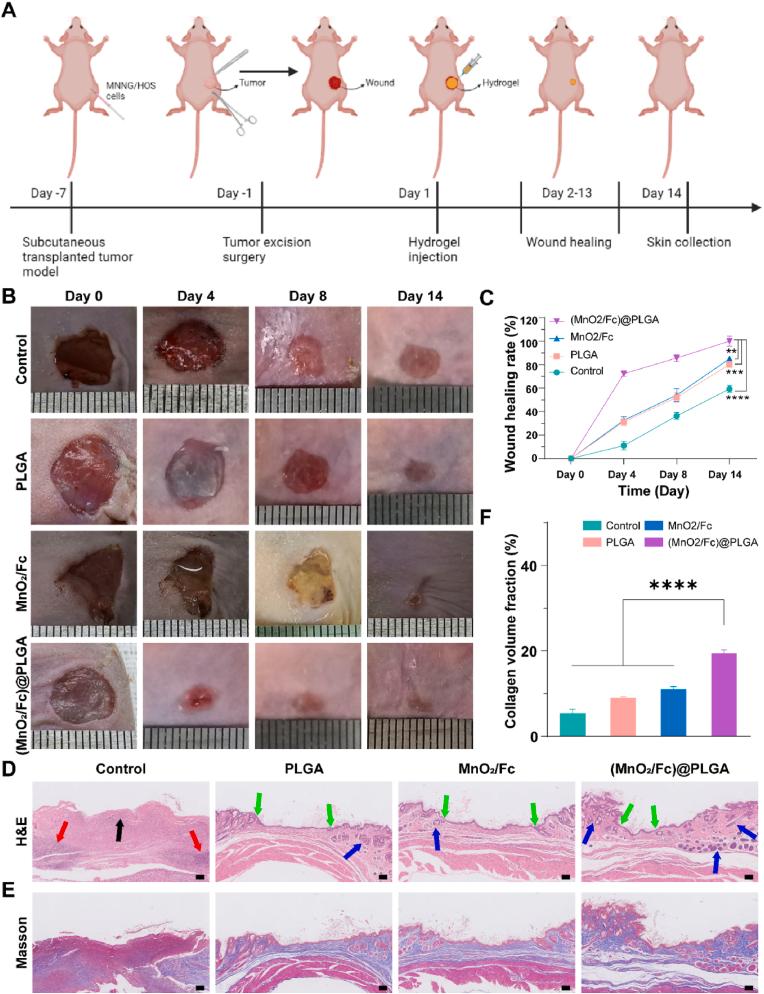 https://cdn.ncbi.nlm.nih.gov/pmc/blobs/854a/11530760/83189836a2c3/gr6.jpg