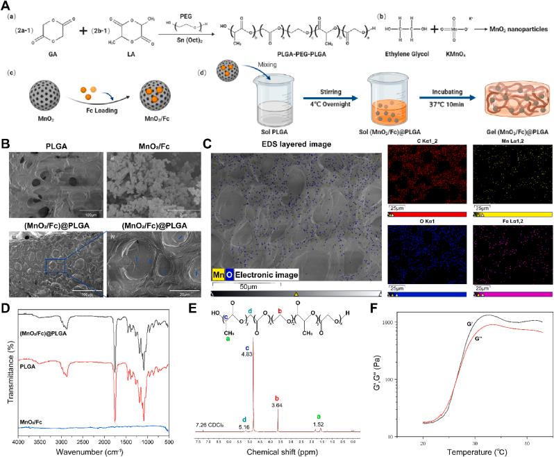 https://cdn.ncbi.nlm.nih.gov/pmc/blobs/854a/11530760/908e23268bf6/gr1.jpg