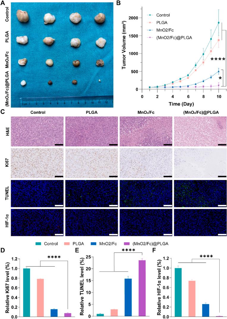 https://cdn.ncbi.nlm.nih.gov/pmc/blobs/854a/11530760/aca925777d0d/gr5.jpg