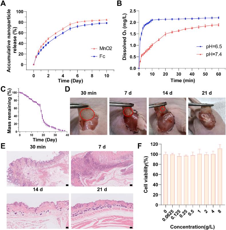 https://cdn.ncbi.nlm.nih.gov/pmc/blobs/854a/11530760/e6eccc956692/gr3.jpg