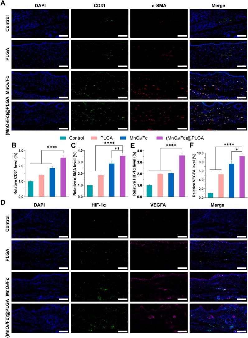 https://cdn.ncbi.nlm.nih.gov/pmc/blobs/854a/11530760/f6d9c05af5d5/gr7.jpg