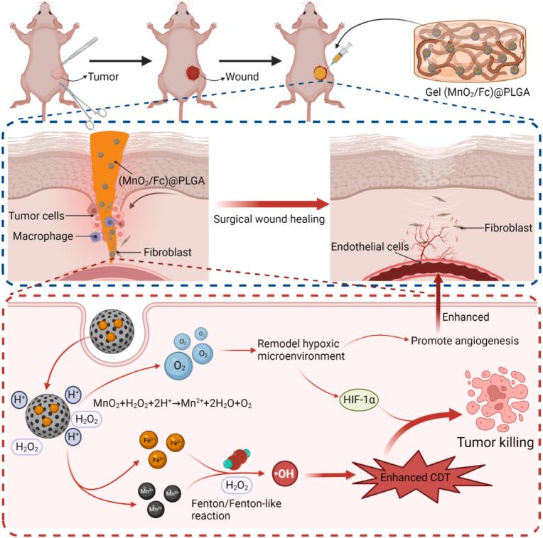 https://cdn.ncbi.nlm.nih.gov/pmc/blobs/854a/11530760/fdc2e341e189/gr8.jpg