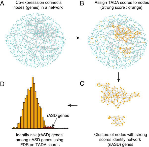 https://cdn.ncbi.nlm.nih.gov/pmc/blobs/854a/4016412/69510dfe3c7a/2040-2392-5-22-1.jpg