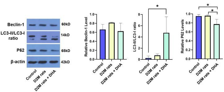 https://cdn.ncbi.nlm.nih.gov/pmc/blobs/854b/11347735/f08081872045/apb-14-412-g002.jpg