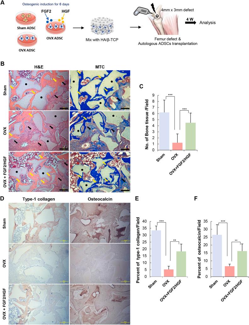 https://cdn.ncbi.nlm.nih.gov/pmc/blobs/854e/10831751/c29d72ad822e/gr6.jpg