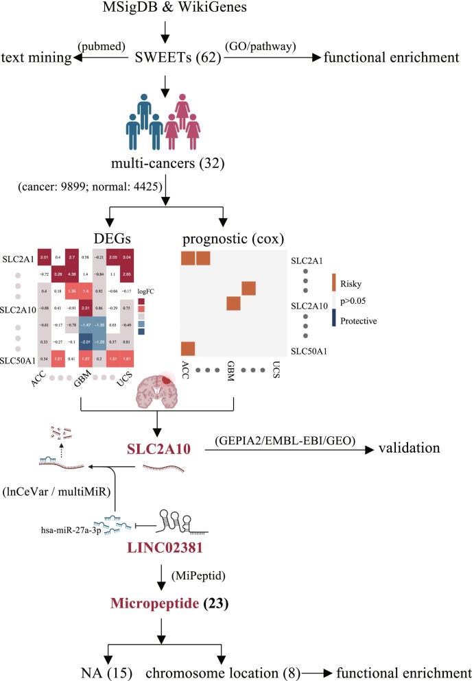 https://cdn.ncbi.nlm.nih.gov/pmc/blobs/854f/9373536/15fe8eb0387e/12885_2022_9972_Fig1_HTML.jpg