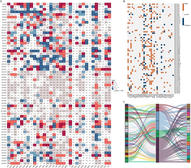 https://cdn.ncbi.nlm.nih.gov/pmc/blobs/854f/9373536/1b42e9446416/12885_2022_9972_Fig3_HTML.jpg