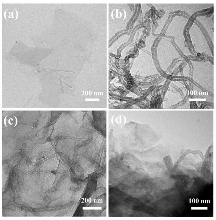 https://cdn.ncbi.nlm.nih.gov/pmc/blobs/8556/9601949/682ecb489326/gels-08-00618-g003.jpg