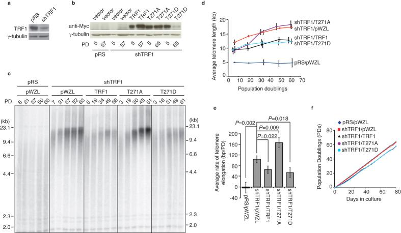 https://cdn.ncbi.nlm.nih.gov/pmc/blobs/8557/5107961/6943bd9aa8fc/srep36913-f2.jpg