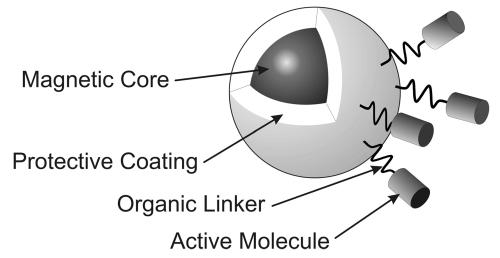https://cdn.ncbi.nlm.nih.gov/pmc/blobs/8558/2527670/8436ea75c081/ijn0302-169-01.jpg
