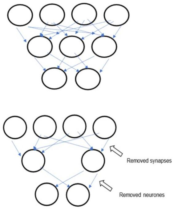 https://cdn.ncbi.nlm.nih.gov/pmc/blobs/855c/12100669/0b8a5f2607cb/BJO-2024-0089.R1-galleyfig3.jpg